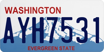 WA license plate AYH7531