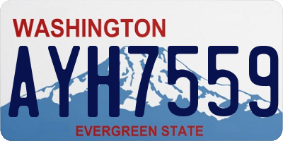 WA license plate AYH7559