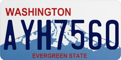 WA license plate AYH7560