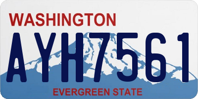 WA license plate AYH7561
