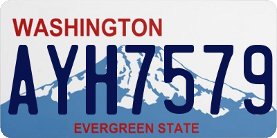 WA license plate AYH7579