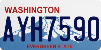 WA license plate AYH7590