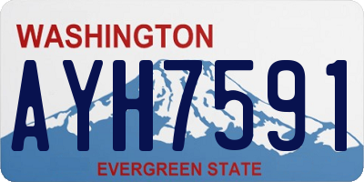 WA license plate AYH7591
