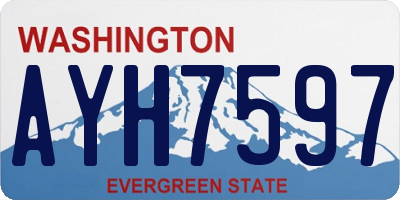 WA license plate AYH7597
