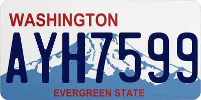 WA license plate AYH7599