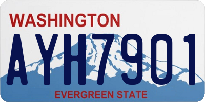 WA license plate AYH7901