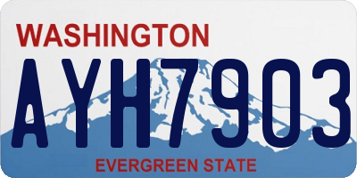 WA license plate AYH7903