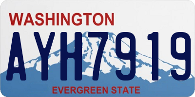 WA license plate AYH7919