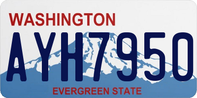 WA license plate AYH7950