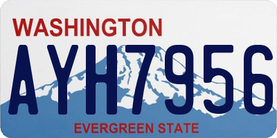 WA license plate AYH7956