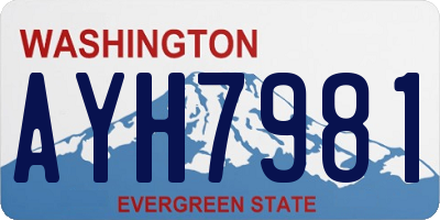 WA license plate AYH7981