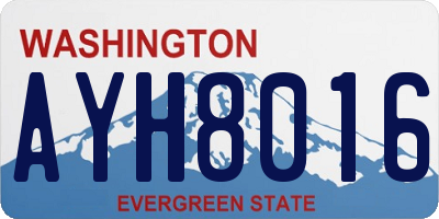 WA license plate AYH8016