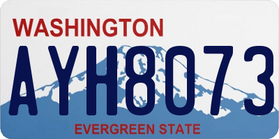 WA license plate AYH8073