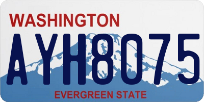 WA license plate AYH8075