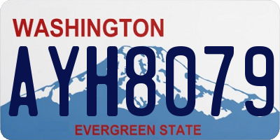 WA license plate AYH8079