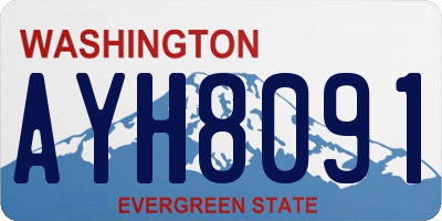 WA license plate AYH8091