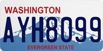 WA license plate AYH8099