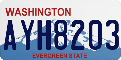 WA license plate AYH8203