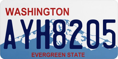 WA license plate AYH8205
