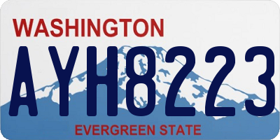 WA license plate AYH8223
