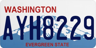 WA license plate AYH8229