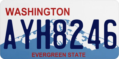 WA license plate AYH8246