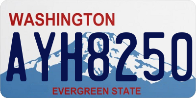 WA license plate AYH8250
