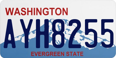 WA license plate AYH8255