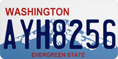 WA license plate AYH8256