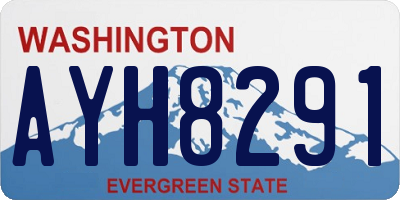 WA license plate AYH8291