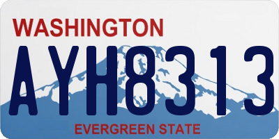WA license plate AYH8313