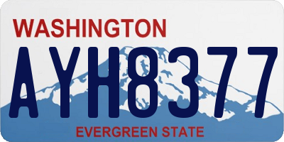 WA license plate AYH8377