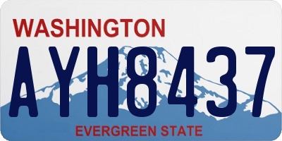 WA license plate AYH8437