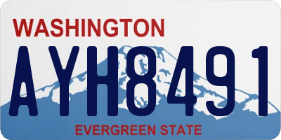 WA license plate AYH8491
