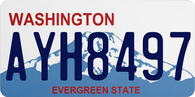 WA license plate AYH8497