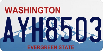 WA license plate AYH8503