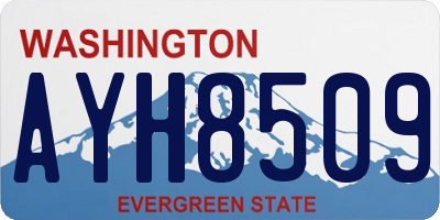 WA license plate AYH8509
