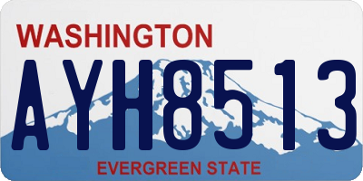 WA license plate AYH8513