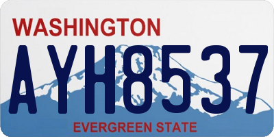 WA license plate AYH8537