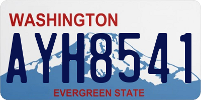 WA license plate AYH8541