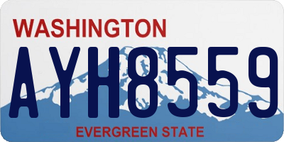 WA license plate AYH8559