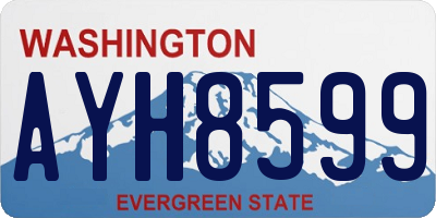 WA license plate AYH8599