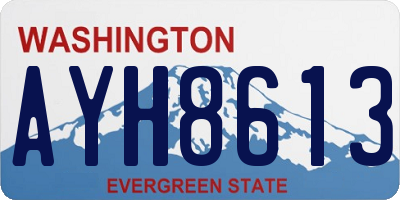 WA license plate AYH8613