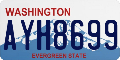 WA license plate AYH8699
