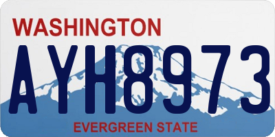 WA license plate AYH8973