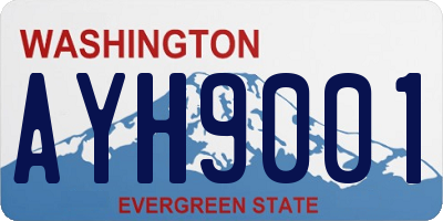 WA license plate AYH9001