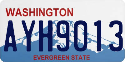 WA license plate AYH9013