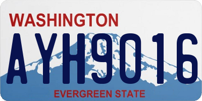 WA license plate AYH9016