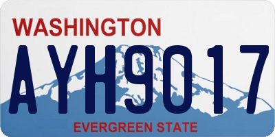 WA license plate AYH9017
