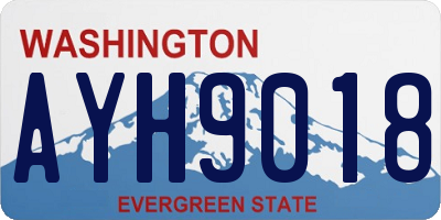 WA license plate AYH9018
